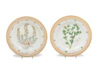 Two Royal Copenhagen Flora Danica Plates