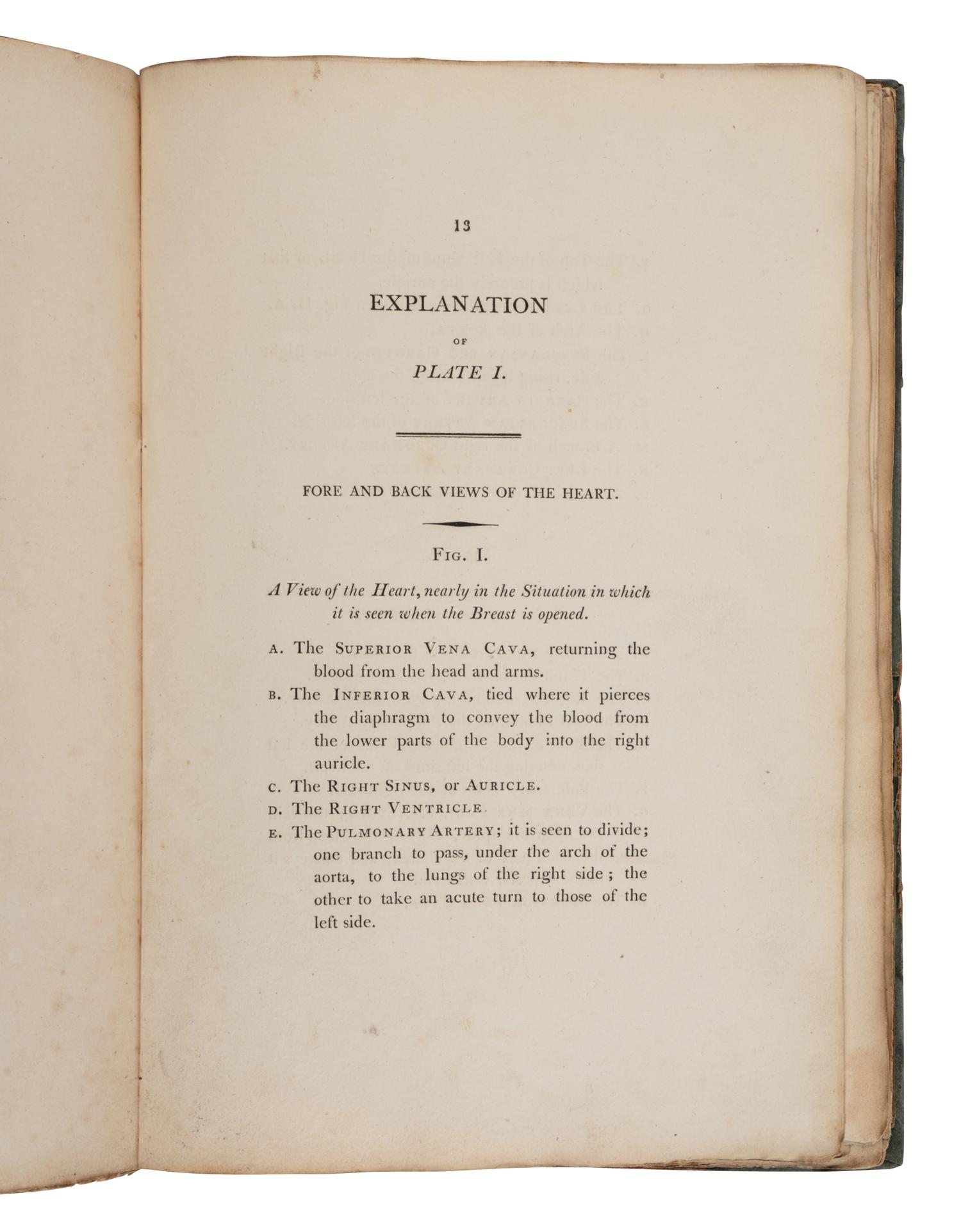 [SCIENCE & MEDICINE]. A group of 5 works on anatomy, comprising: