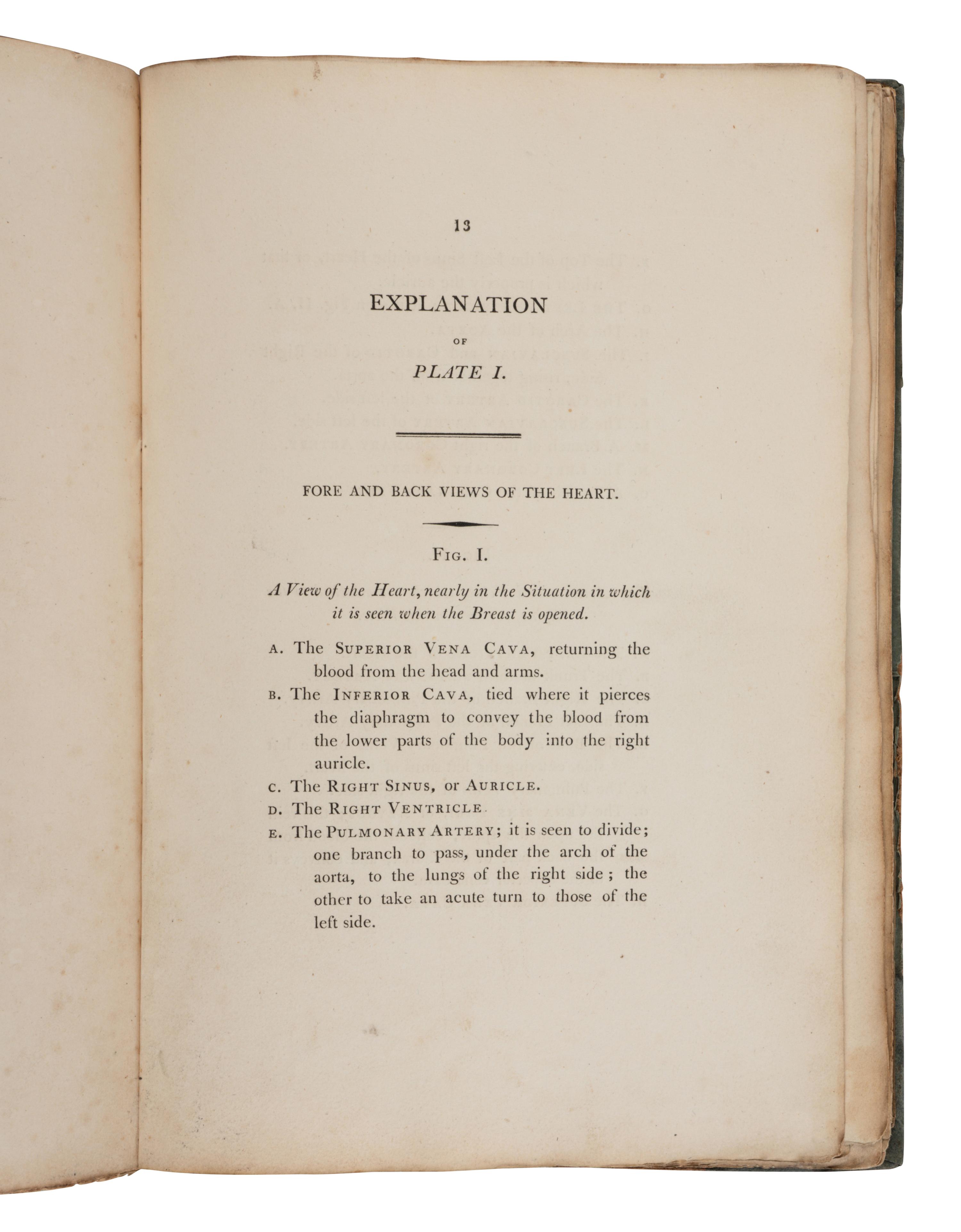 [SCIENCE & MEDICINE]. A group of 5 works on anatomy, comprising: