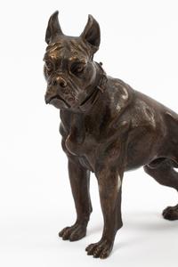 Three Austrian Cold Painted Bronze Dogs