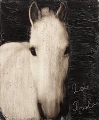 Untitled (Horse Head)