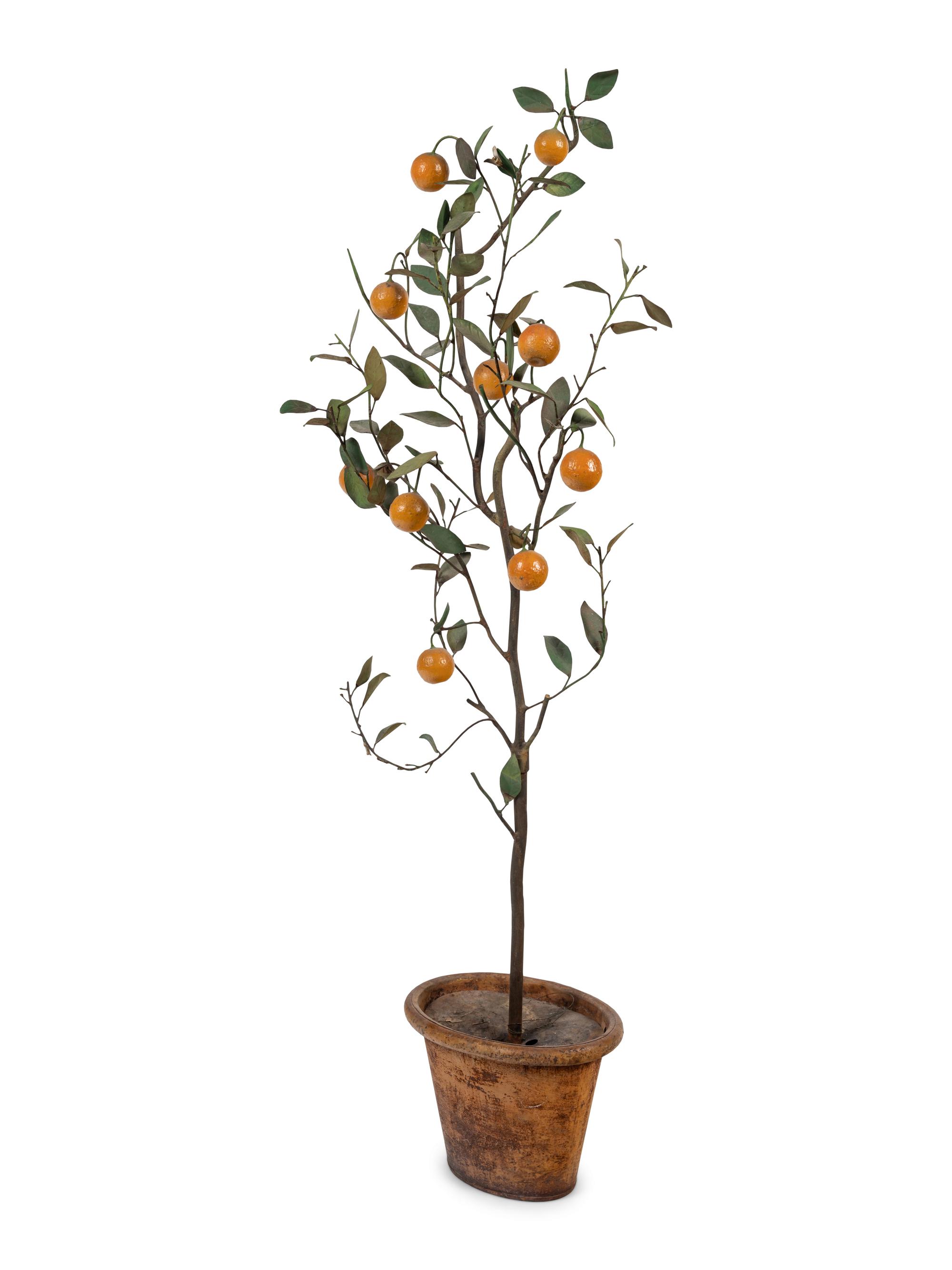 A Tôle Lemon Tree