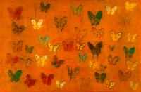 Untitled (Butterflies) , 2012