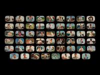 A Collection of 1955 Bowman Trimmed Baseball Cards