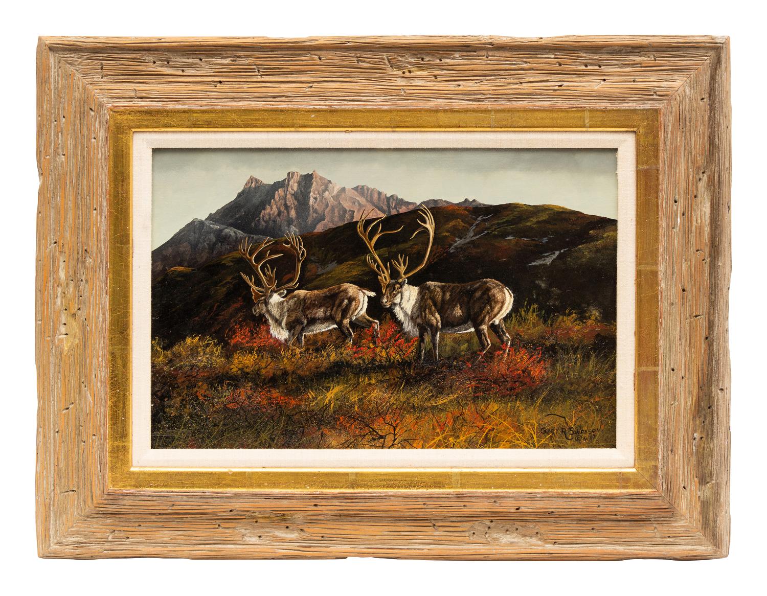 Alaska Caribou