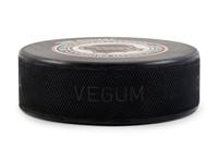A Group of Four Signed Hockey Hall of Fame Items,