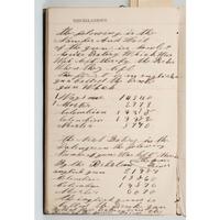 Civil War Diary of Thomas Mains, 33rd Independent Battery, Light Artillery, NYSV