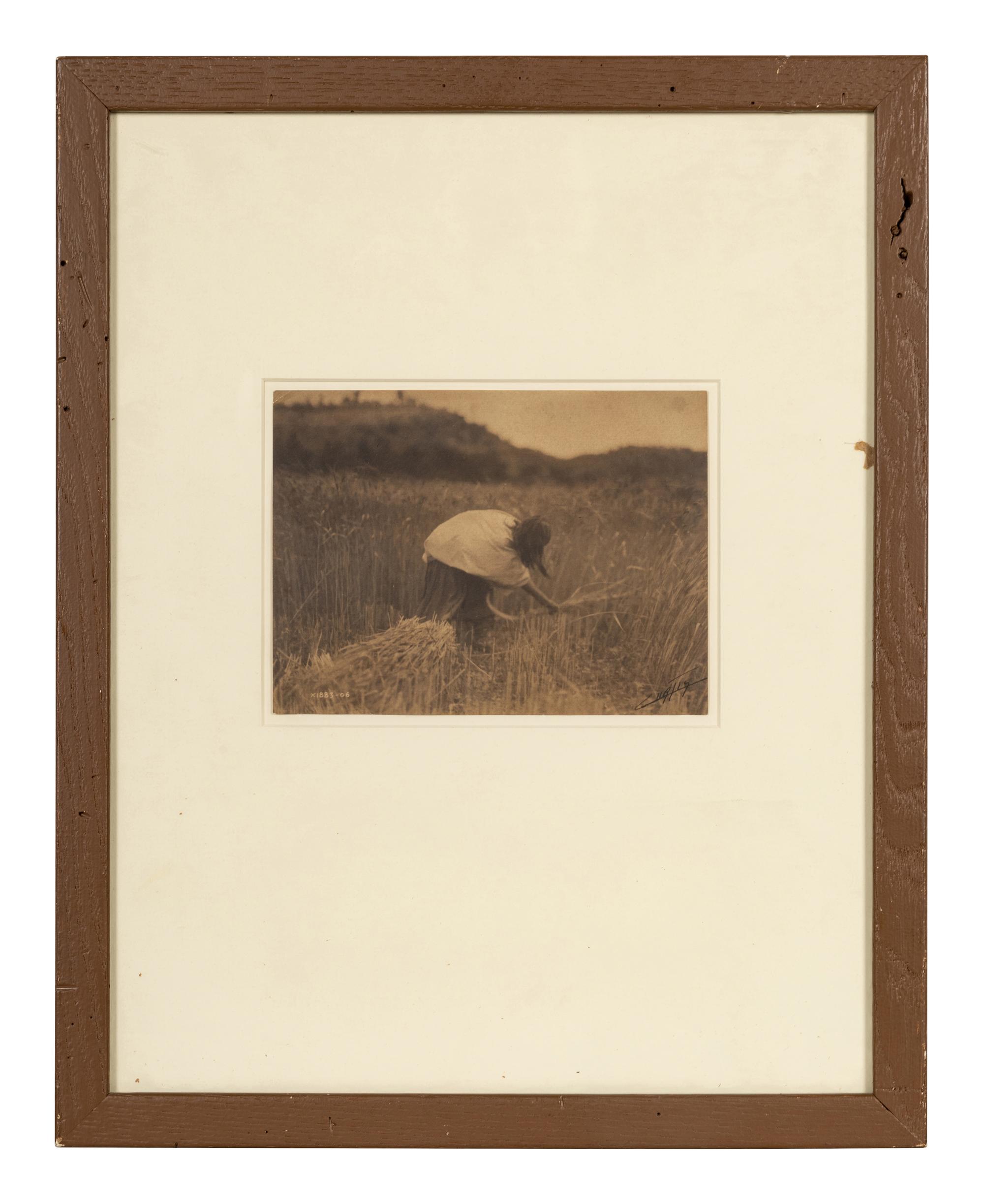 Edward S. Curtis (1868-1952) The Apache Reaper, 1906