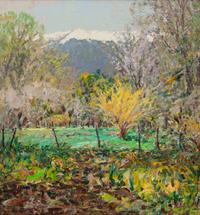 Forsythia at Velarde