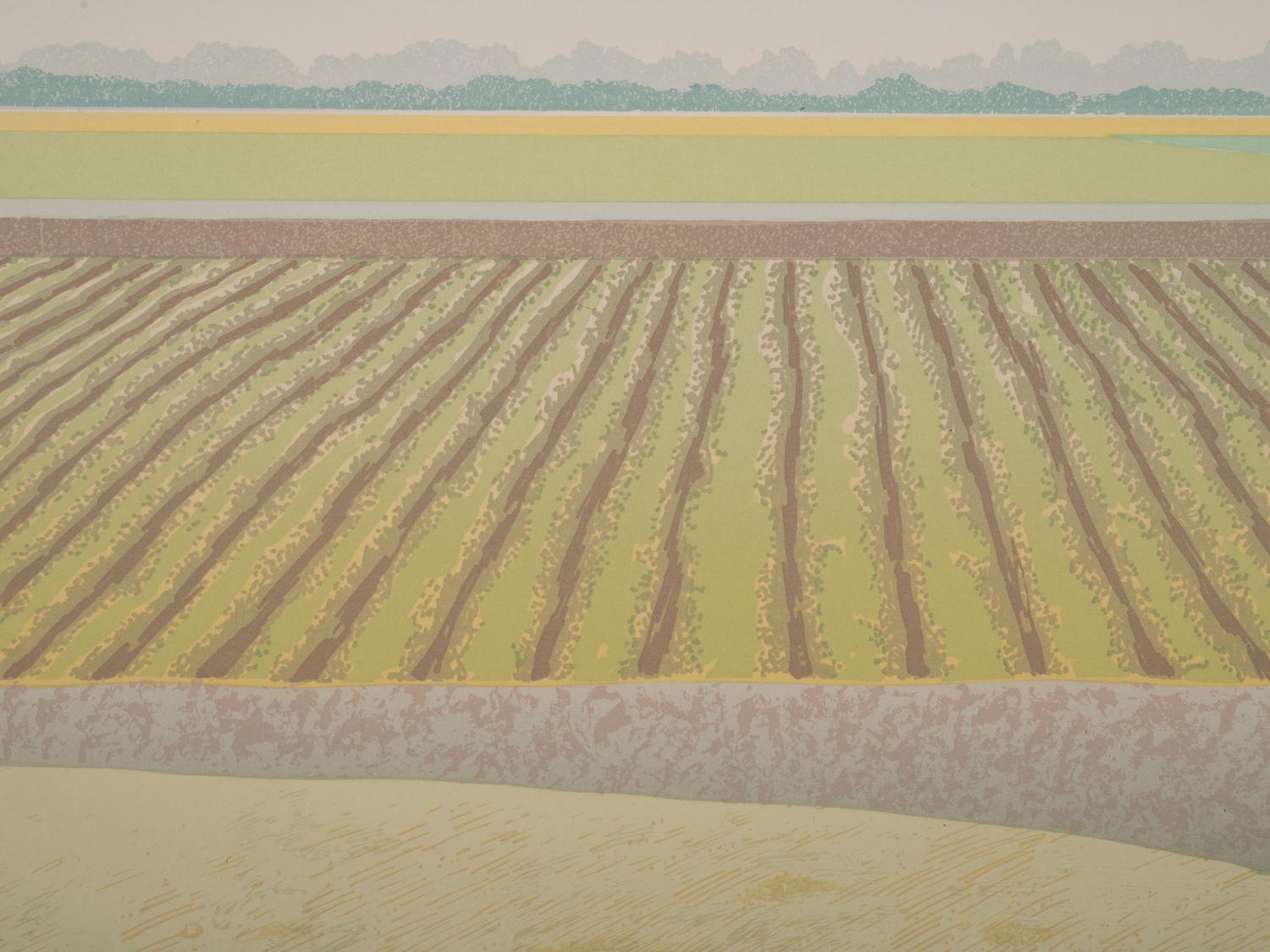 Ann McCall (Canadian, b. 1941)