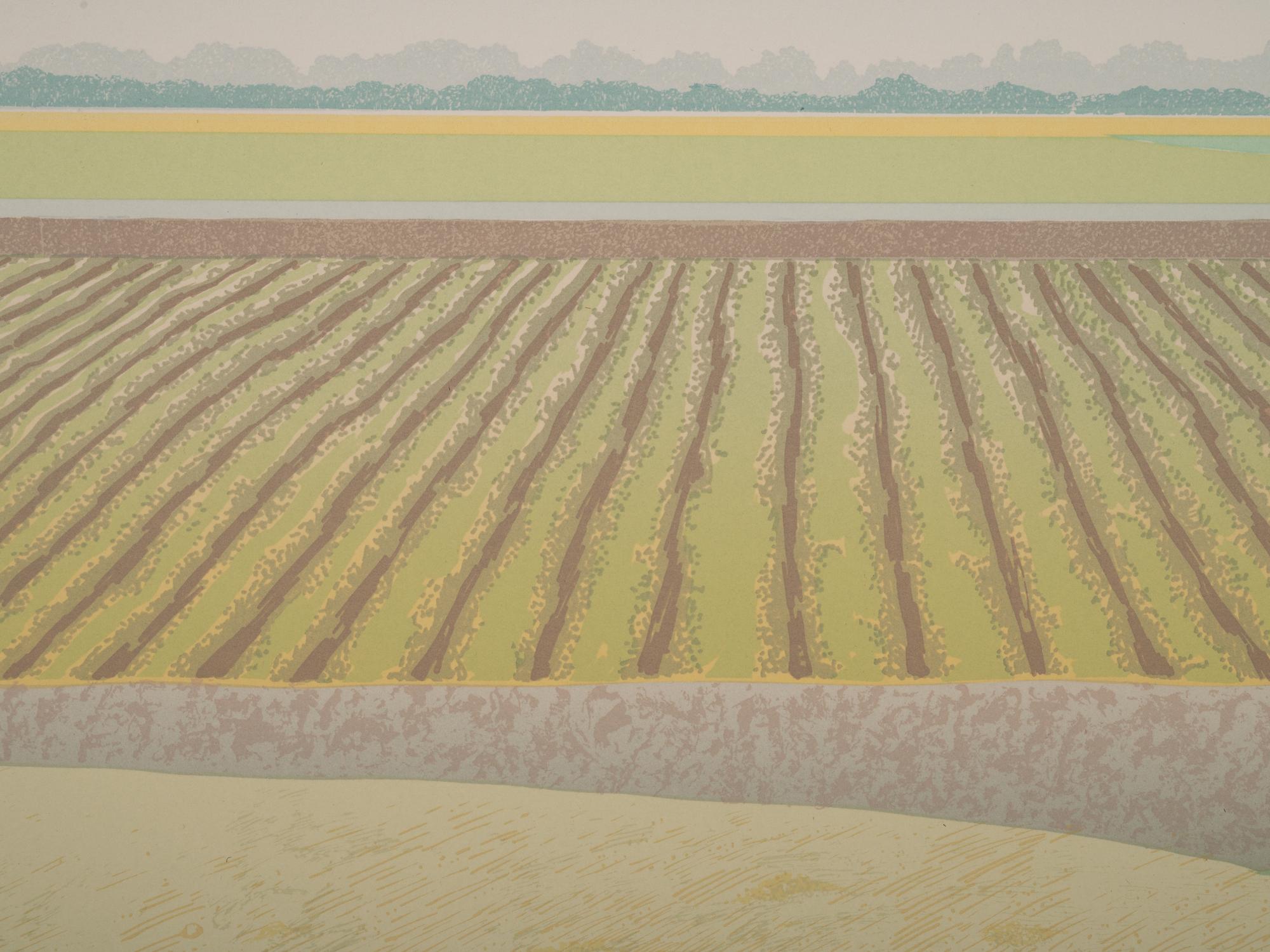 Ann McCall (Canadian, b. 1941)