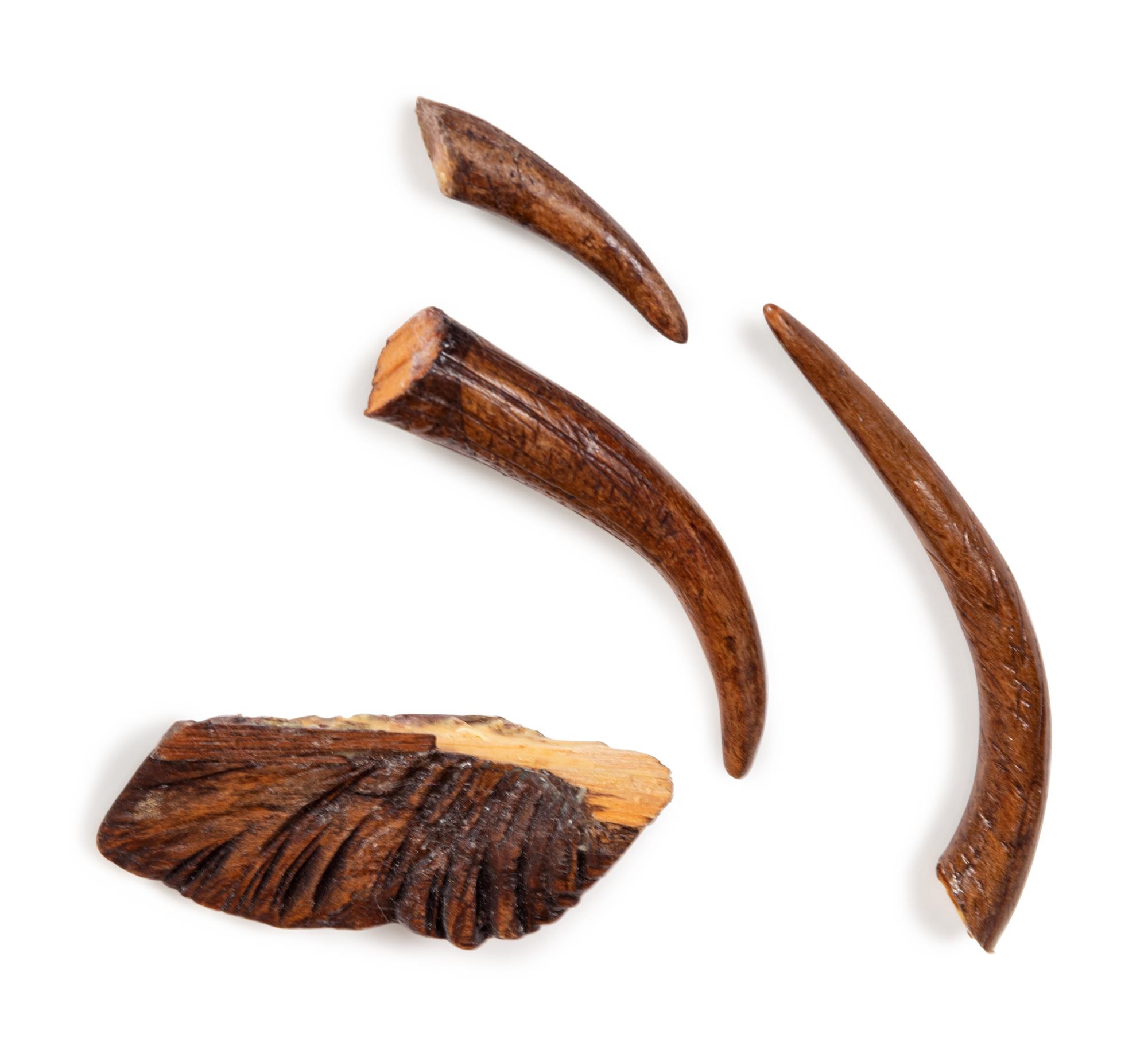 A Black Forest Carved Oak Stag-Form Mantel Clock