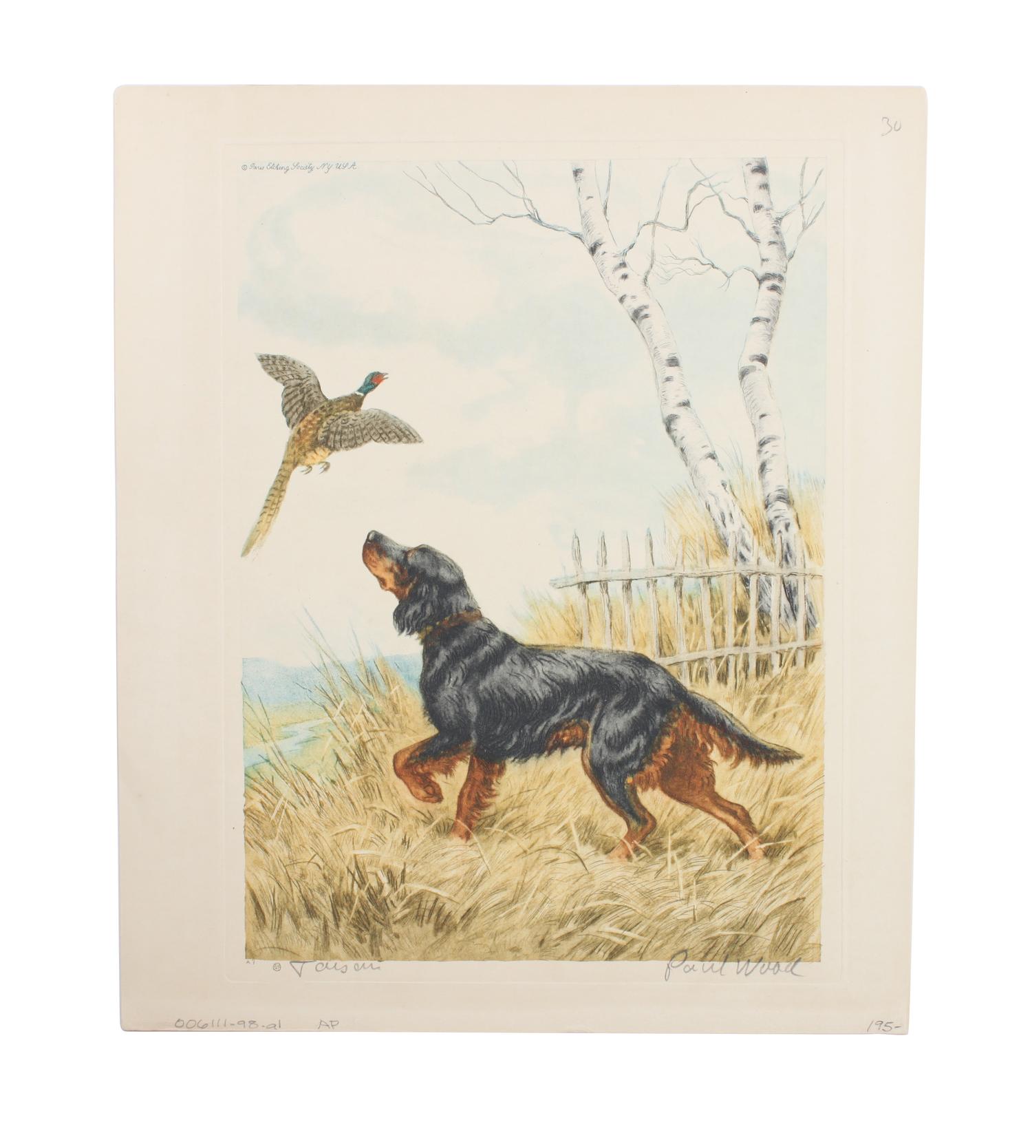 Eleven Hand Colored Dog Prints Height 71/2 x 9 inches — 19TH/20TH CENTURY