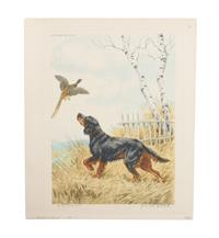 Eleven Hand Colored Dog Prints Height 71/2 x 9 inches — 19TH/20TH CENTURY