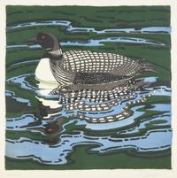 Loon , 1988