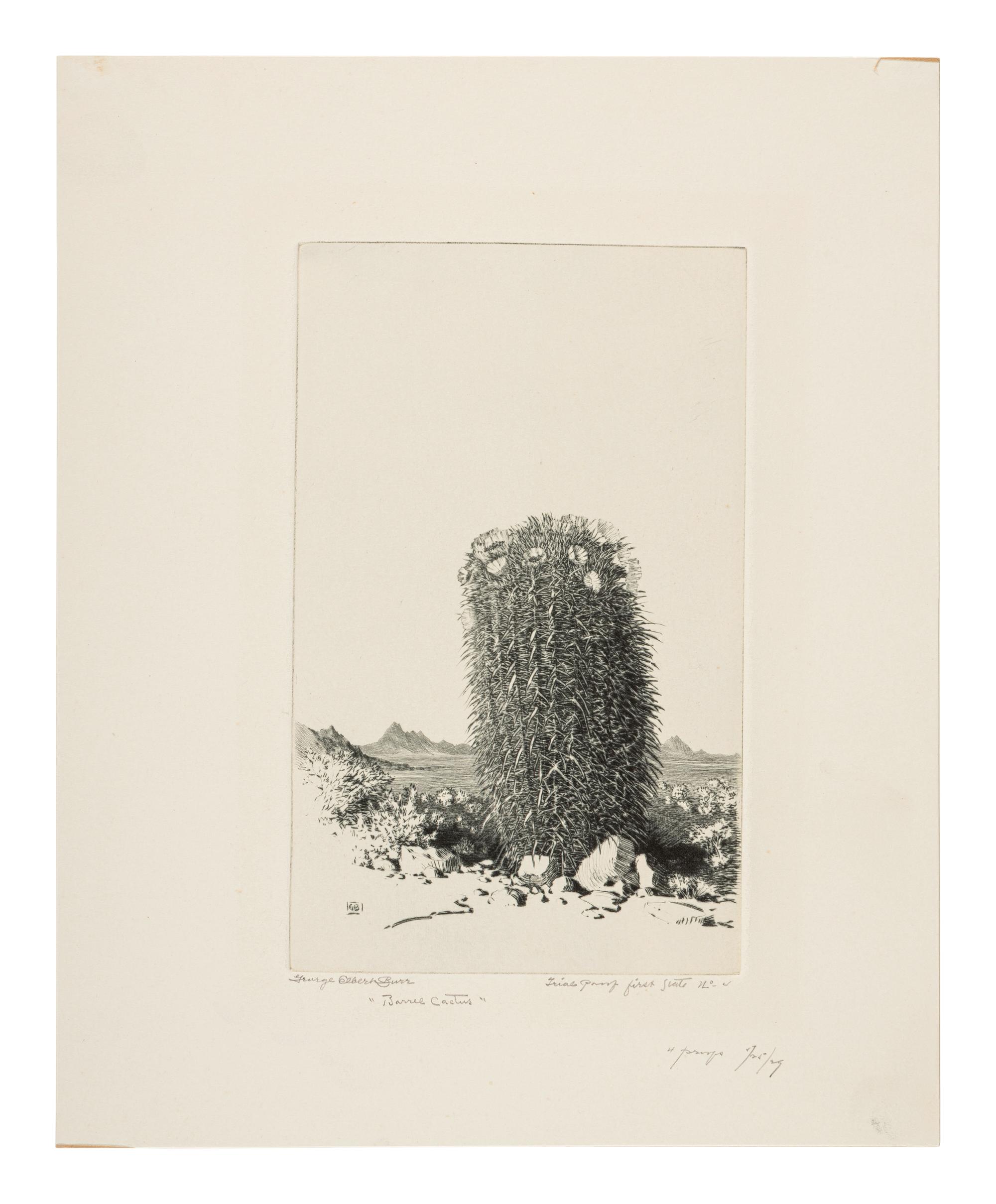 Two Works: Cholla Cactus, Arizona and Barrel Cactus