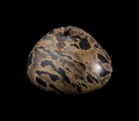 An Egyptian Breccia Mace Head