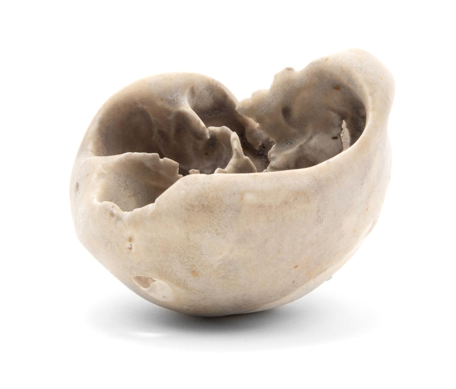 Untitled Vessel
