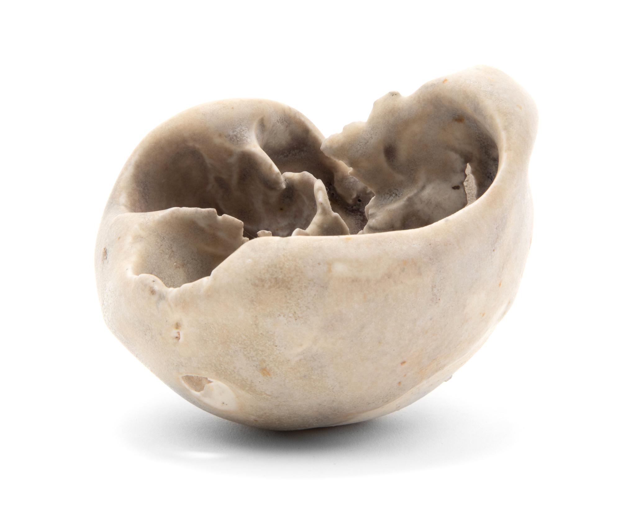 Untitled Vessel