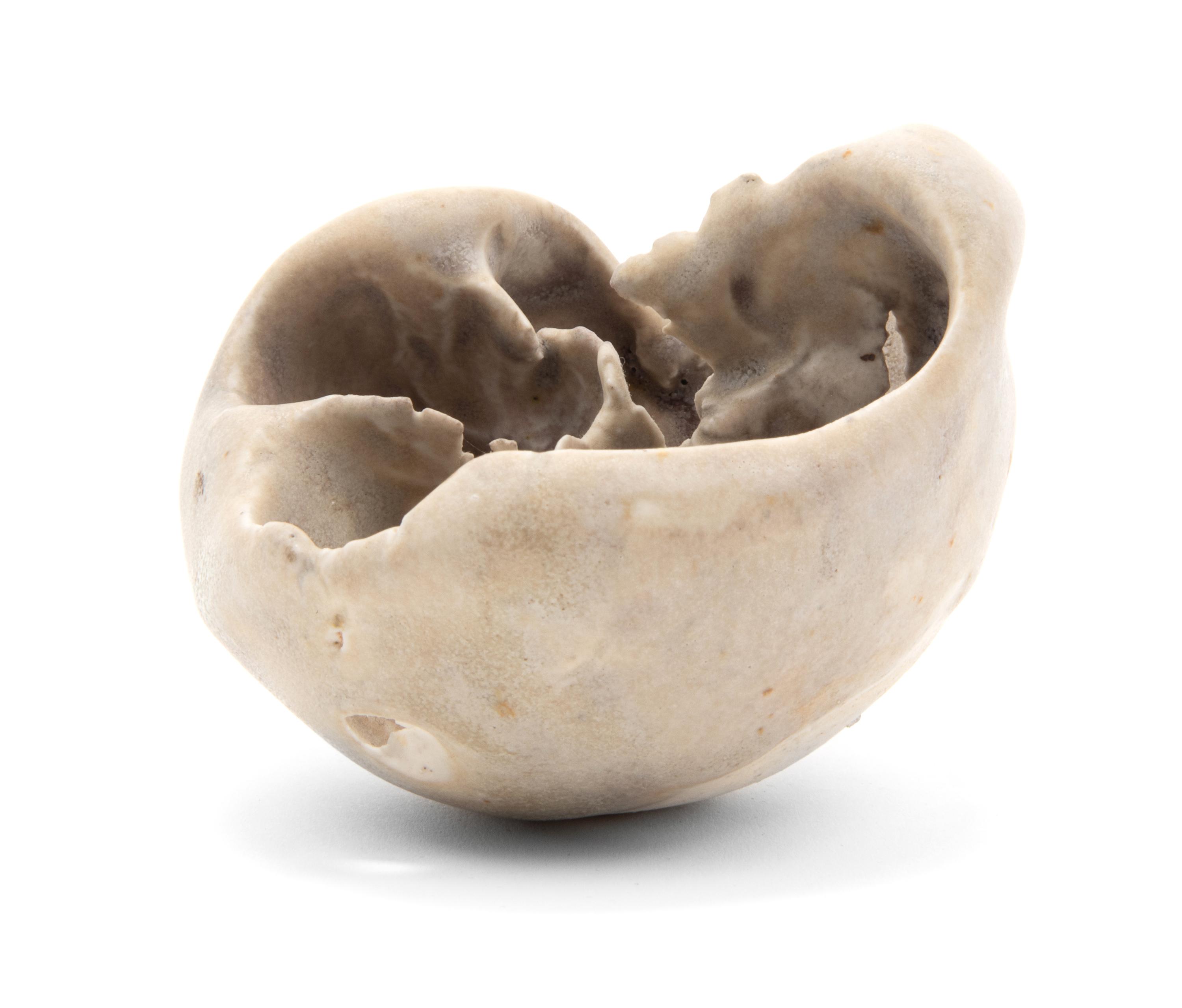 Untitled Vessel