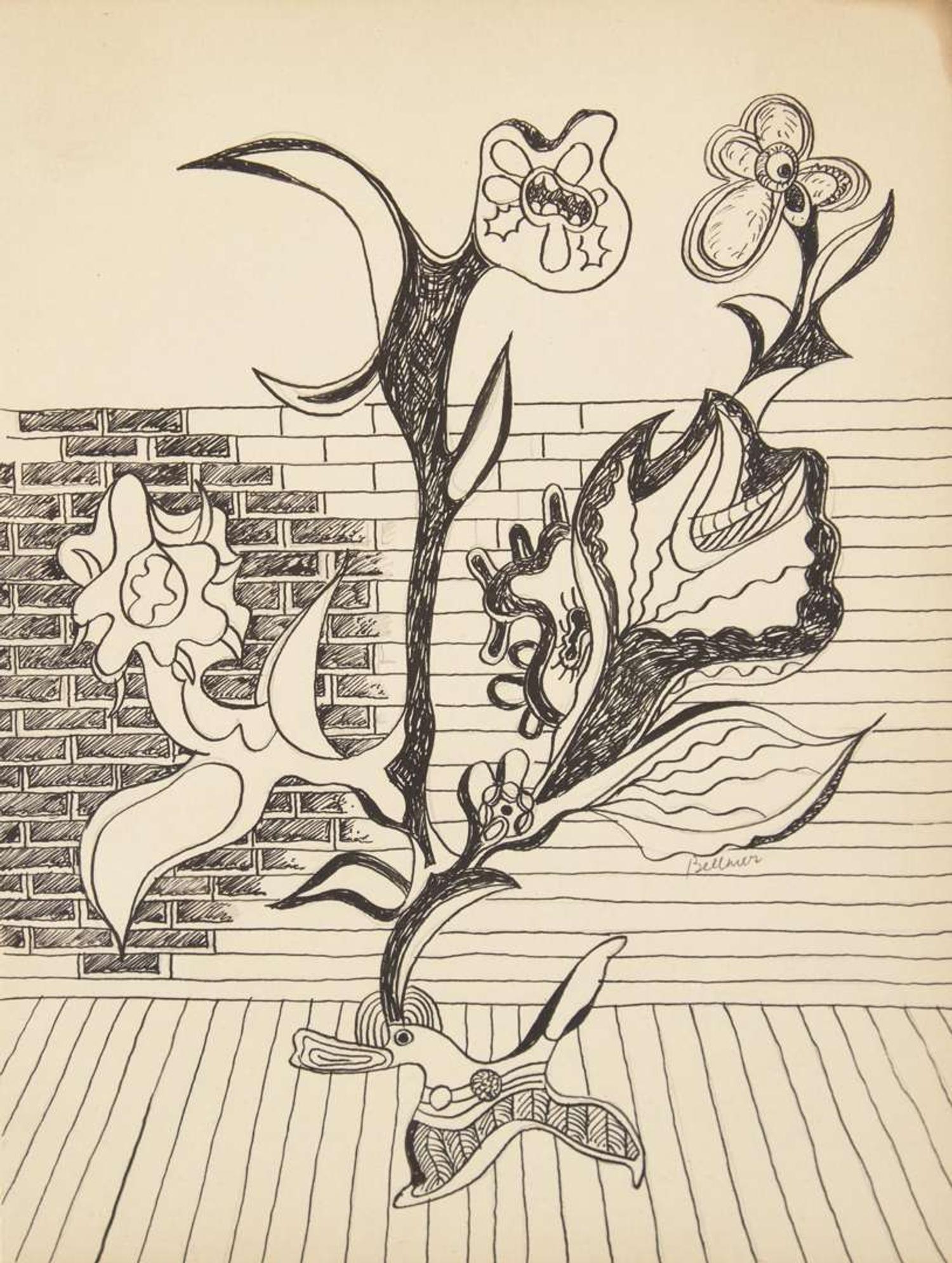 Hans Bellmer (German, 1902-1975) - Wall Flower Drawing