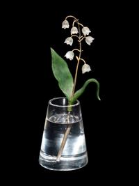 An Important Cartier Carved Rock Crystal, Aventurine and Moonstone Lily of the Valley Flower Study