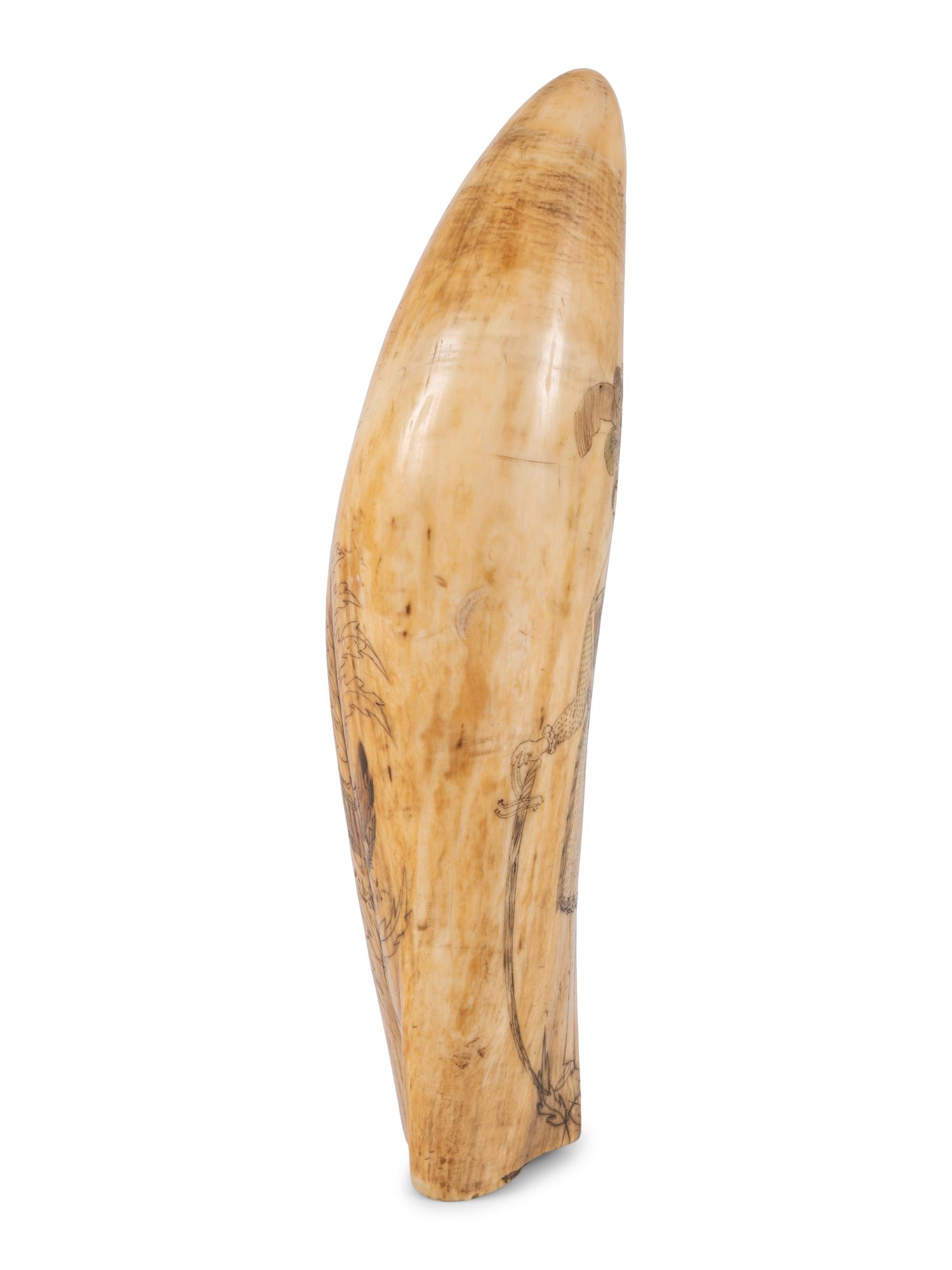A Scrimshaw Tooth with Depiction of Female Pirate Fanny Campbell and a Patriotic Device