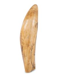 A Scrimshaw Tooth with Depiction of Female Pirate Fanny Campbell and a Patriotic Device