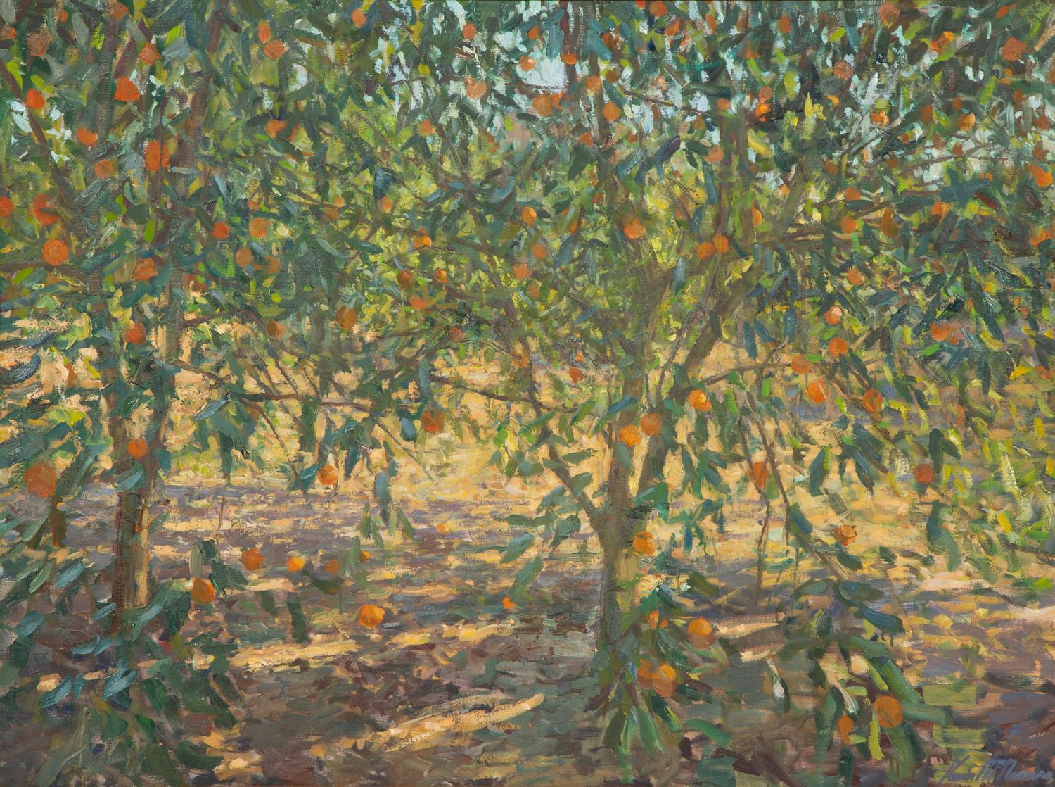 Orange Grove, Geneva, Florida , 2012