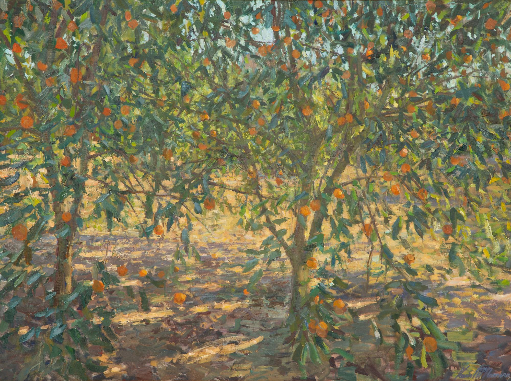 Orange Grove, Geneva, Florida , 2012
