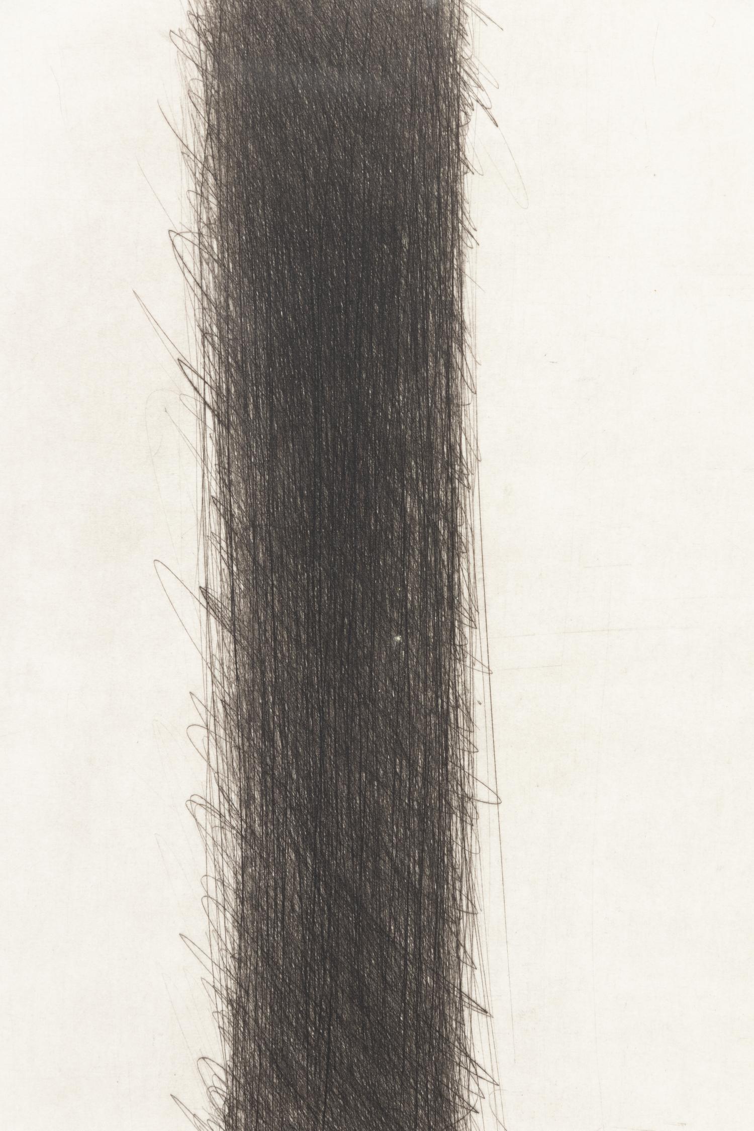 A pair of works from the Stirnstrandwand Portfolio