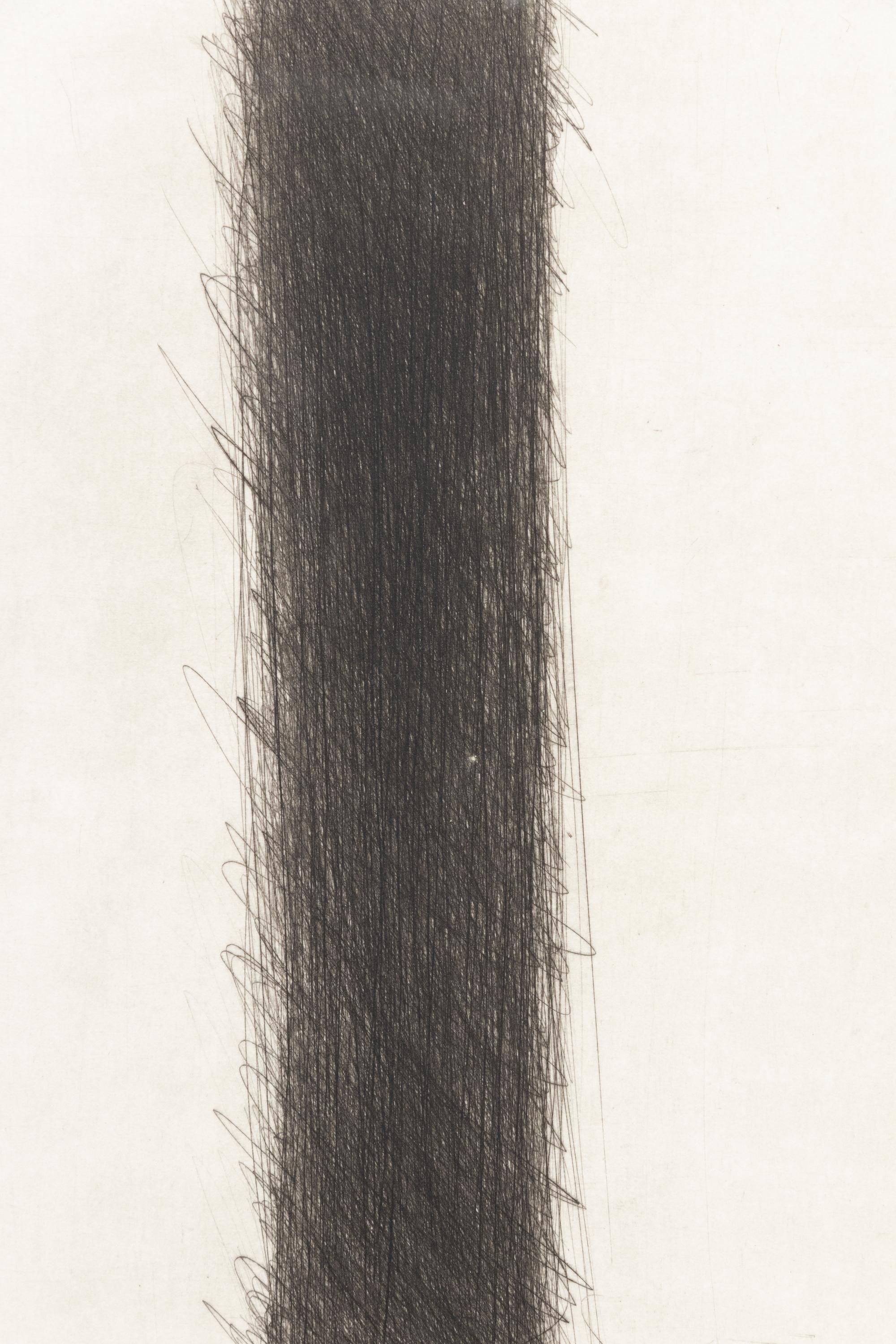 A pair of works from the Stirnstrandwand Portfolio