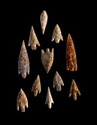 101 Neolithic Flint Points