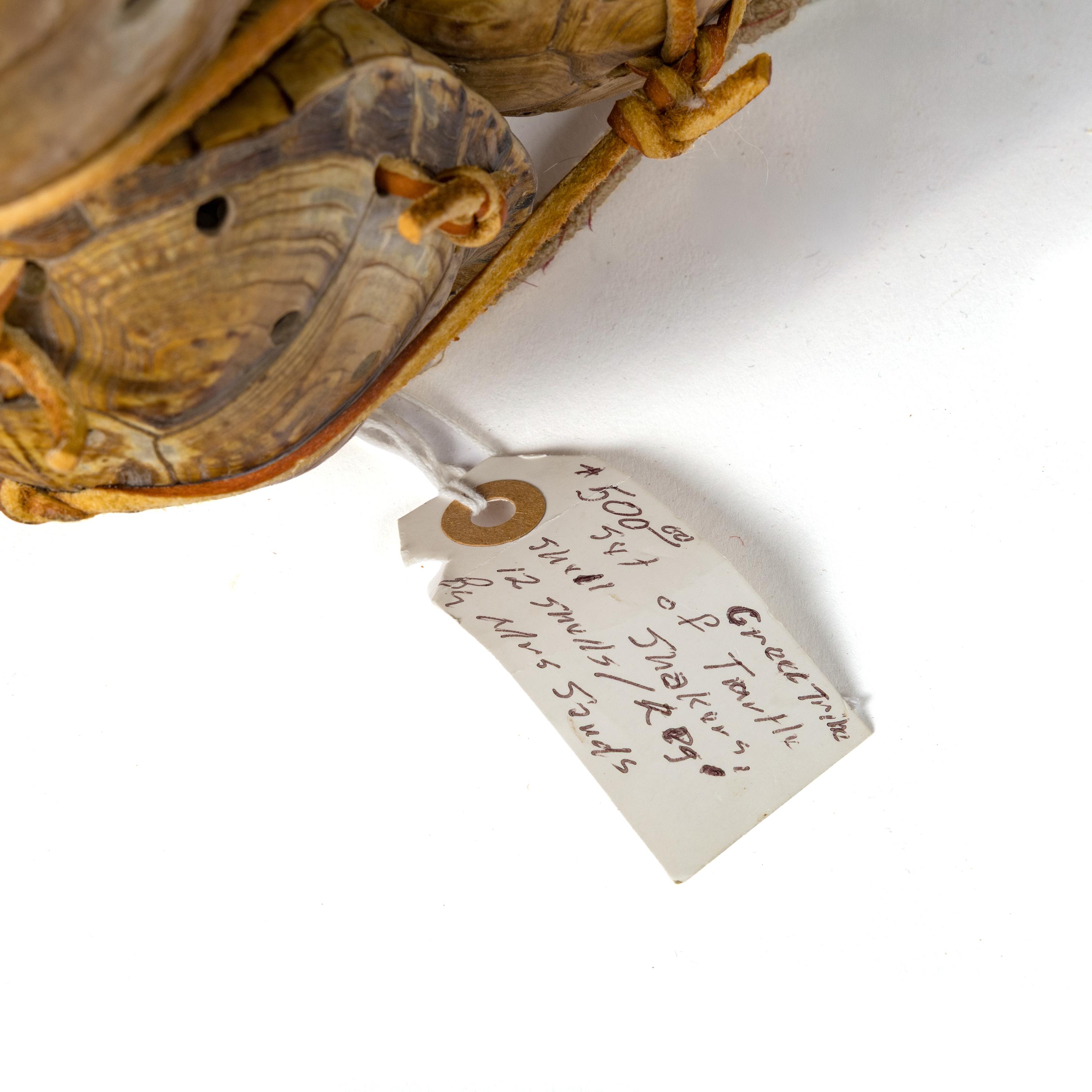 Creek Shell Dance Garters, Made by Mrs. Sands