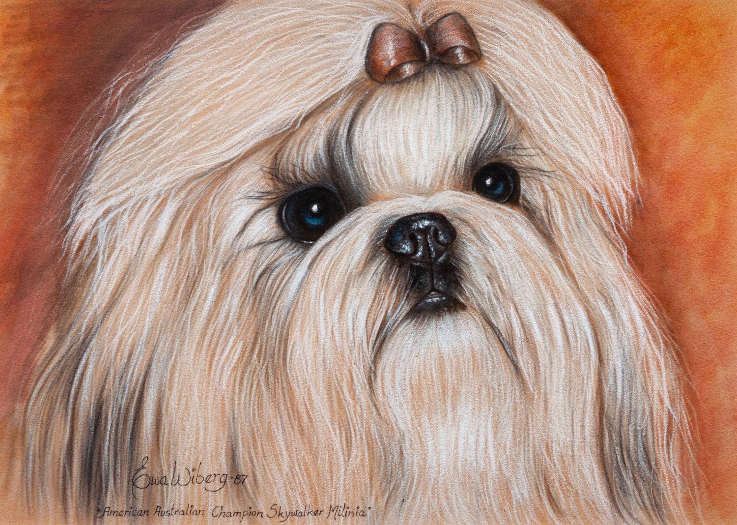 Three Works of Art depicting Shih Tzus Largest: 11 3/4 x 16 1/4 inches.