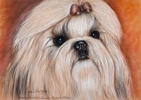 Three Works of Art depicting Shih Tzus Largest: 11 3/4 x 16 1/4 inches.