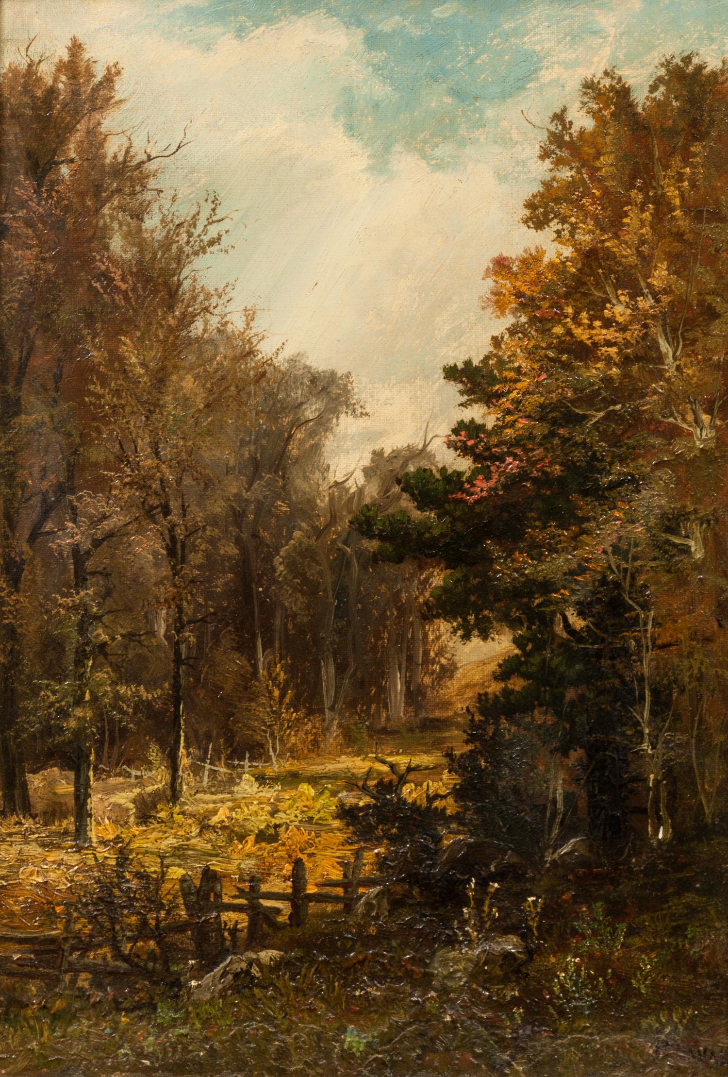 Artist Unknown, (20th century), Forest Landscape