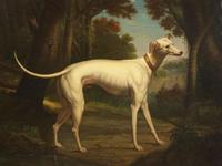 Circle of Jean-Baptiste Oudry (French 1656-1755) - White Greyhound in a Landscape