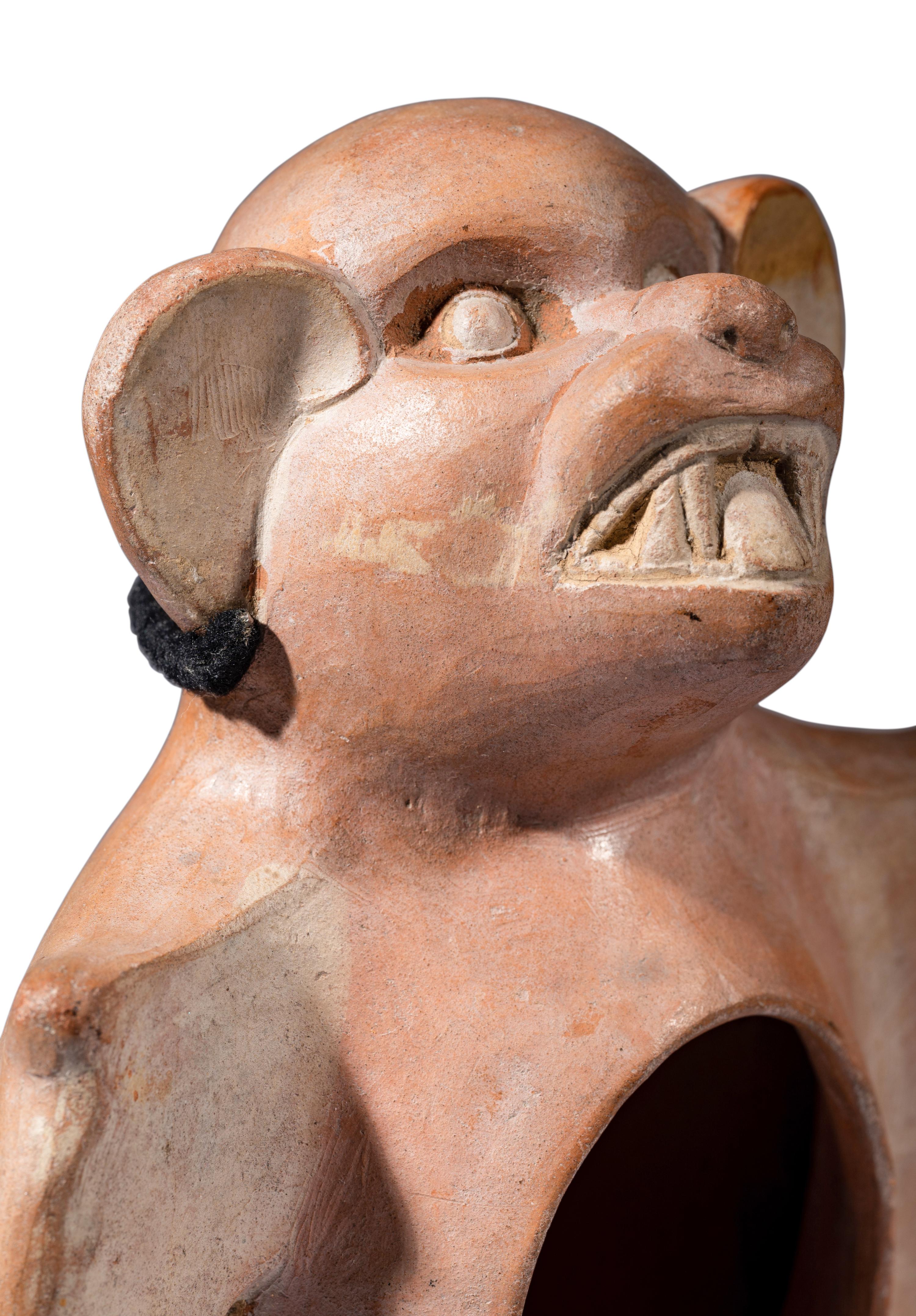 A Moche Bat Effigy Vessel