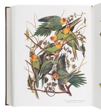 AUDUBON, John James (1785-1851). PETERSON, Roger Tory and Virginia Marie PETERSON. The Audubon Society Baby Elephant Folio Audubon's Birds of America. New York: Abbeville Press, 1981.