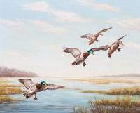Ethel E. Queeny, (20th century), Two works: Ducks in Flight