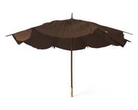 An Umbrella with Scrimshaw Handle