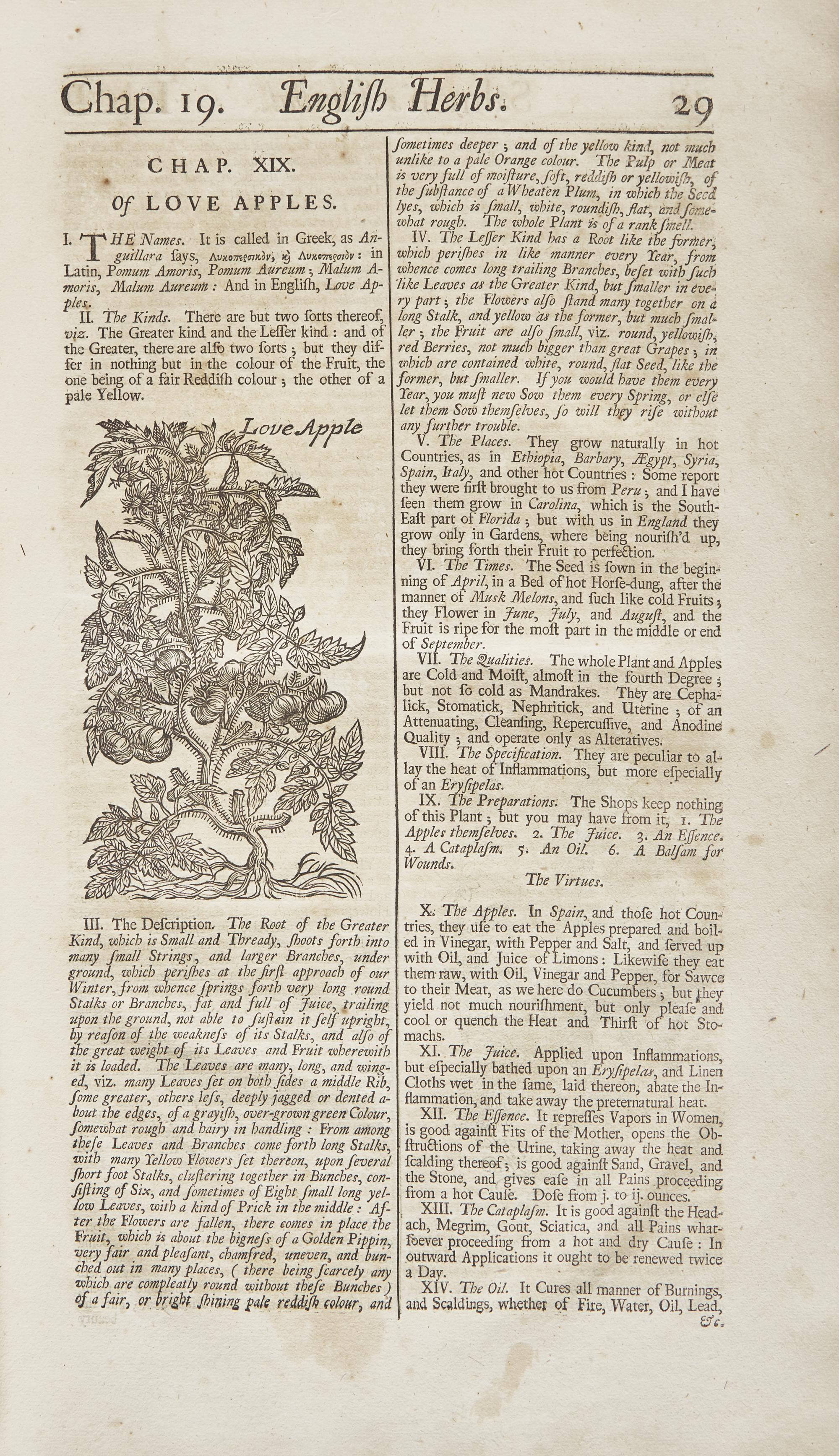 [Natural History] Salmon, William. Botanologia. The English Herbal: Or, History of Plants...