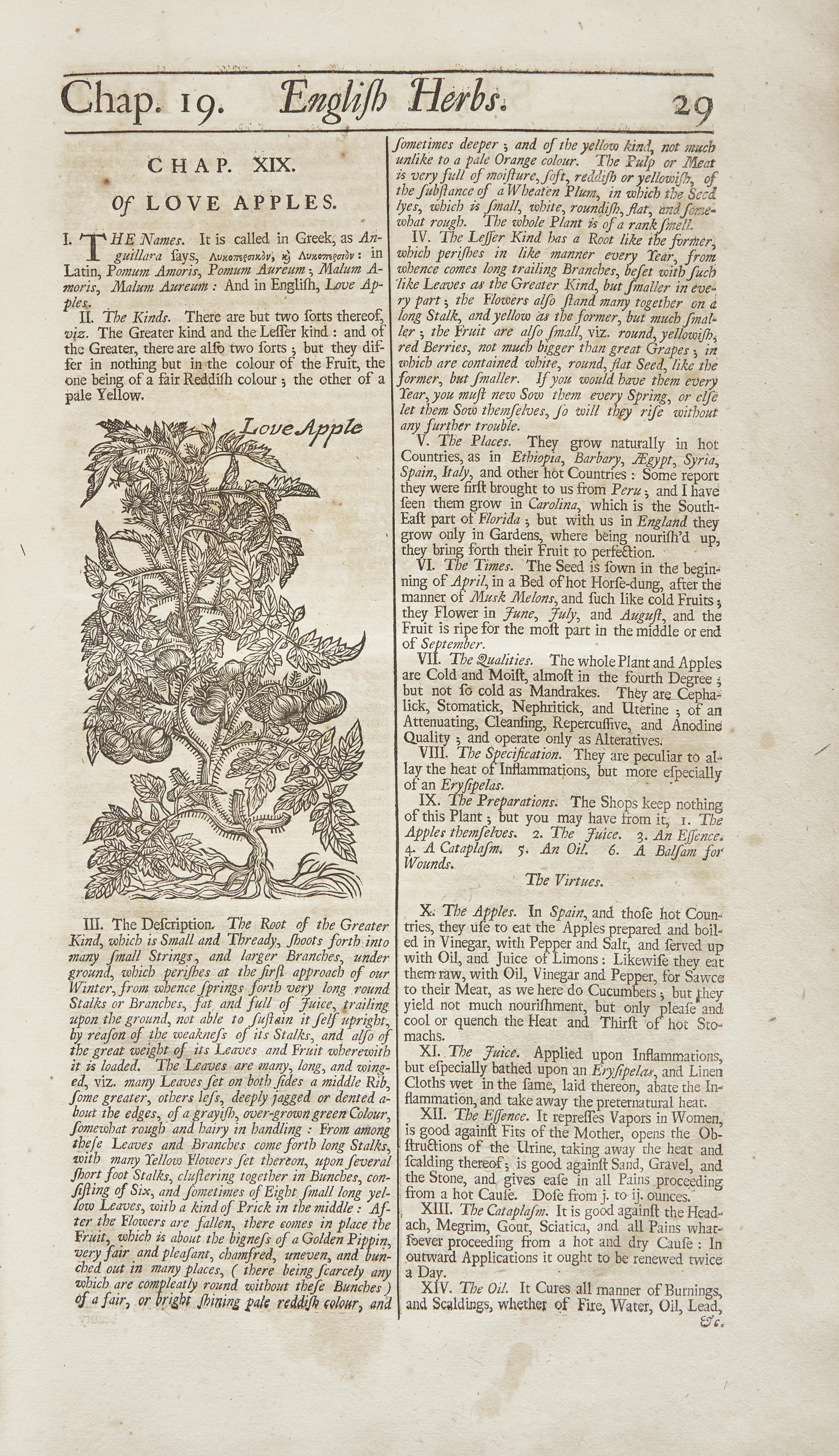 [Natural History] Salmon, William. Botanologia. The English Herbal: Or, History of Plants...