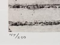 Untitled (from Harvey Gantt Portfolio )