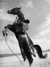 Ernst Haas (1921-1986) Leaping Horse (Clark Gable as Guy Langland doing his own stunts, on the set of "The Misfits,") Nevada, 1960
