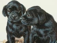 Pals , 1993