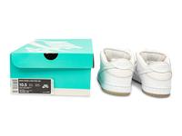 Dunk Low Pro White Ice (DS)