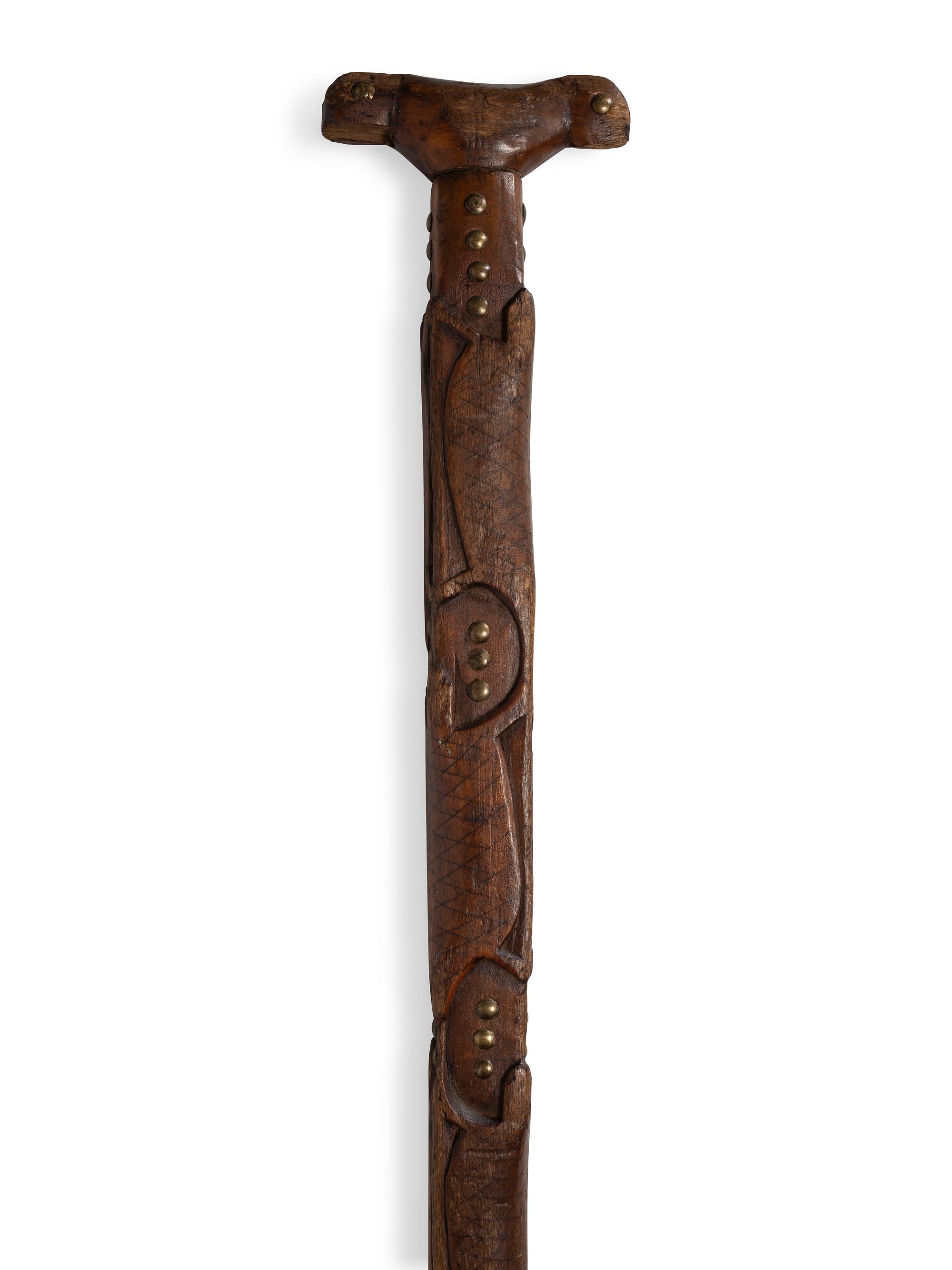Northeastern Turtle Cane
