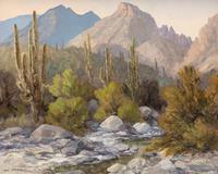 Big Saguaros